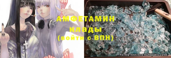 индика Новодвинск