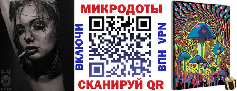 где купить наркотик  Старица  Псилоцибиновые грибы Psilocybe 